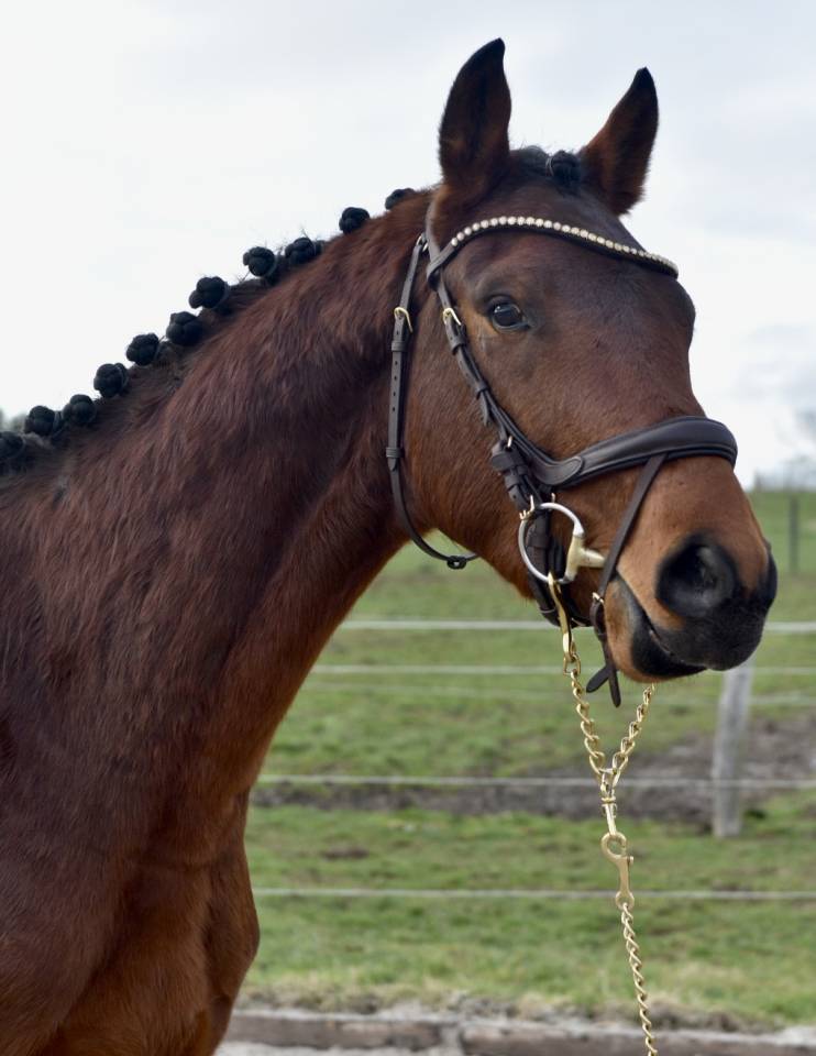 MAGNIFIQUE JEUNE 3 ANS