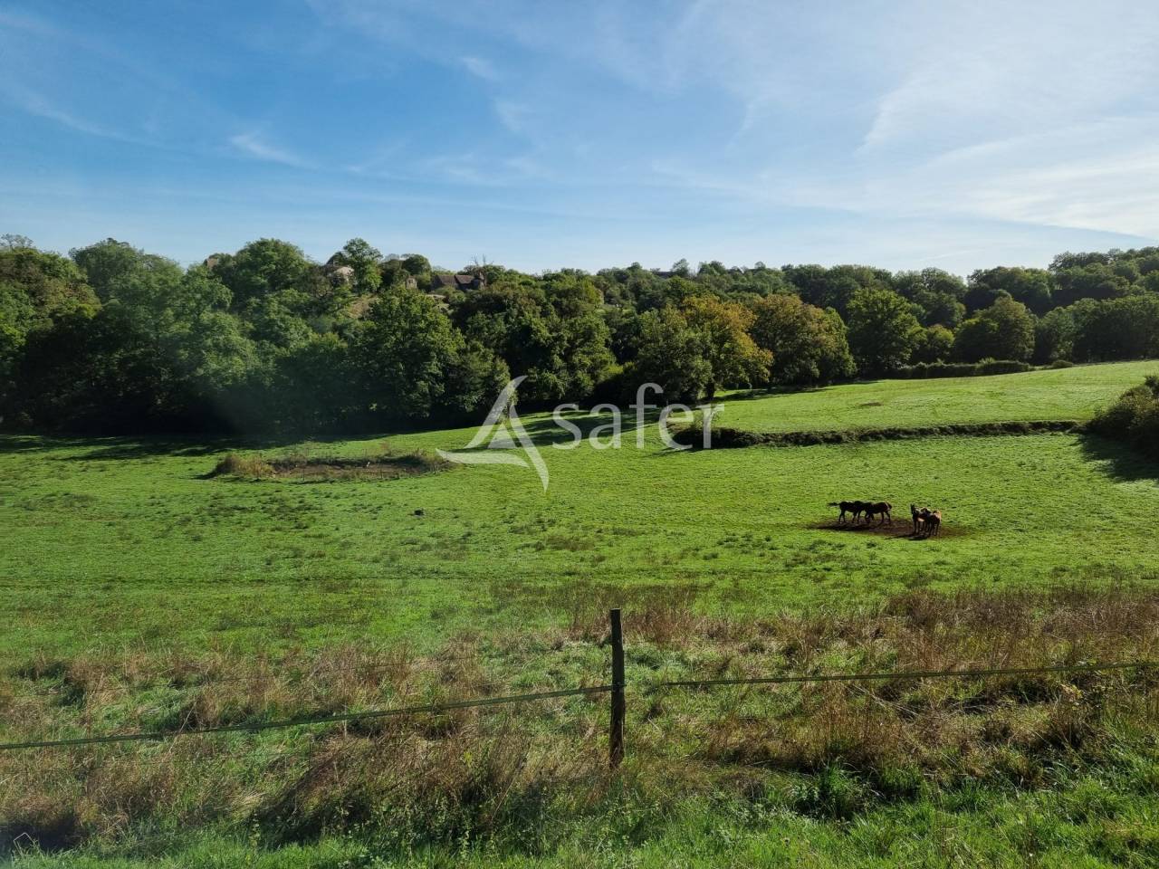 Propri&eacute;t&eacute; &eacute;questre / &eacute;levage sur 32 ha au coeur du Parc Natu