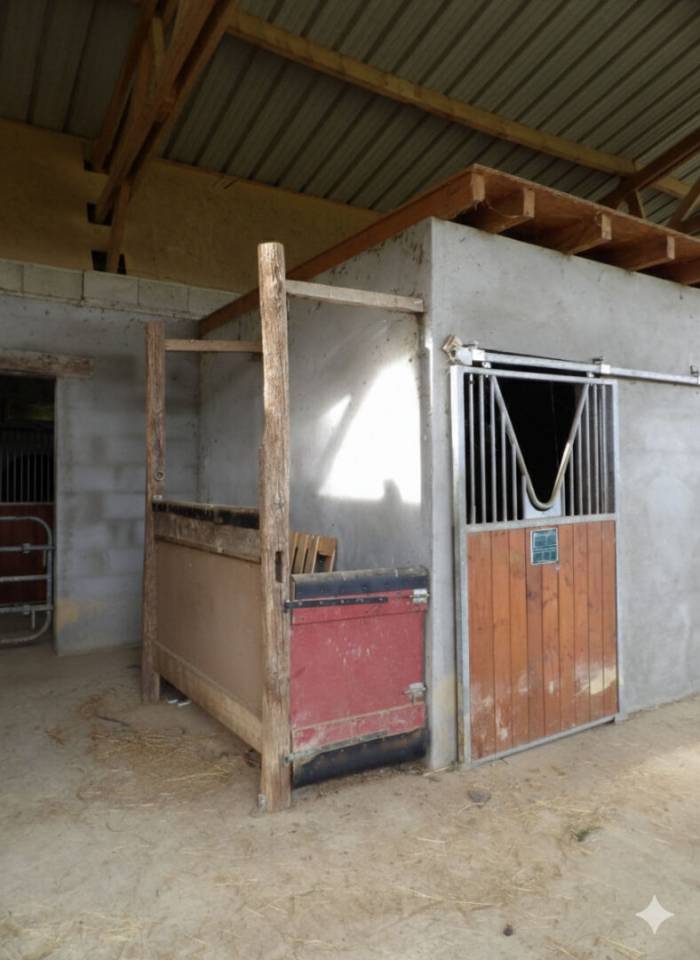 Haras sur 15 Hectares