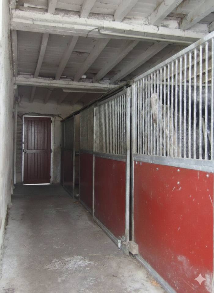 Haras sur 15 Hectares