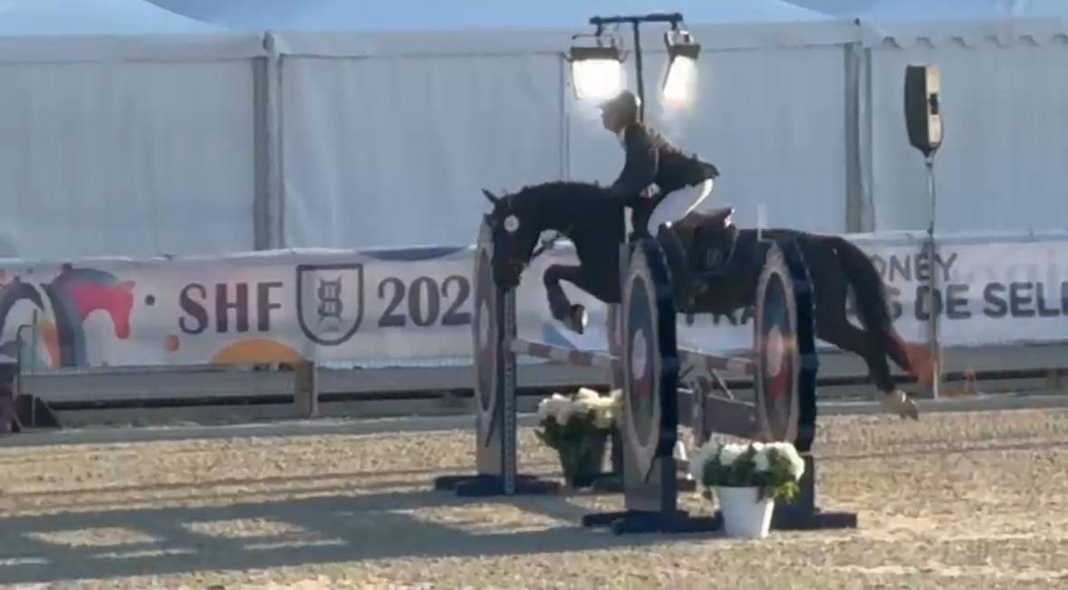 KALINDJA DE VENDIE Ponette D