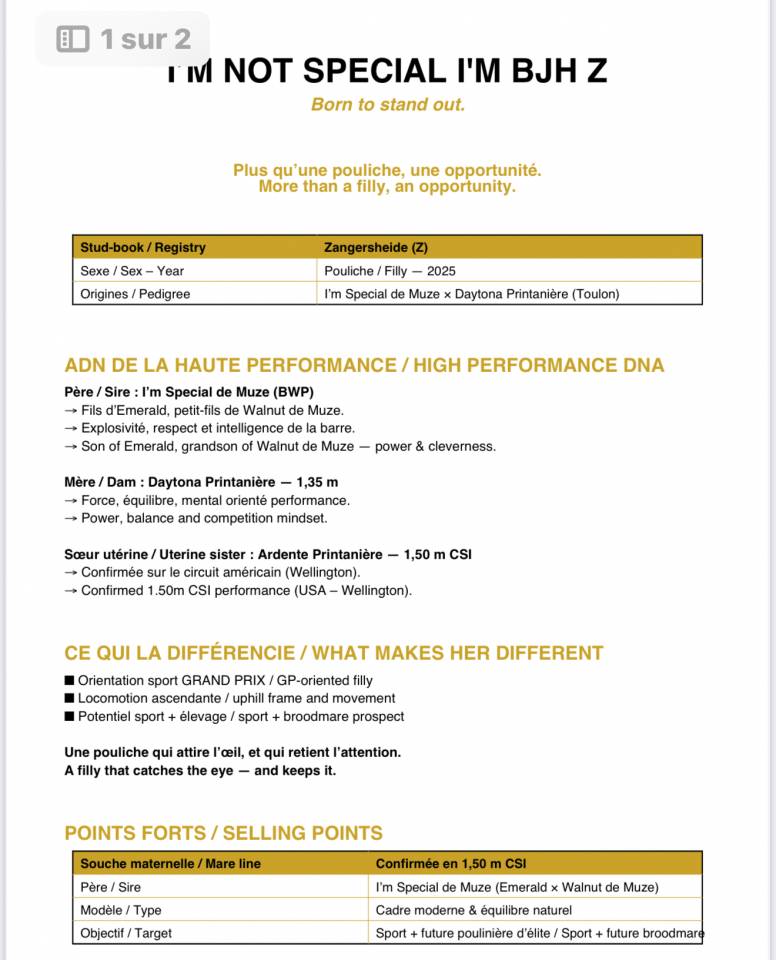 Filly (2025) I'm Special de Muze x Toulon x Ramiro z