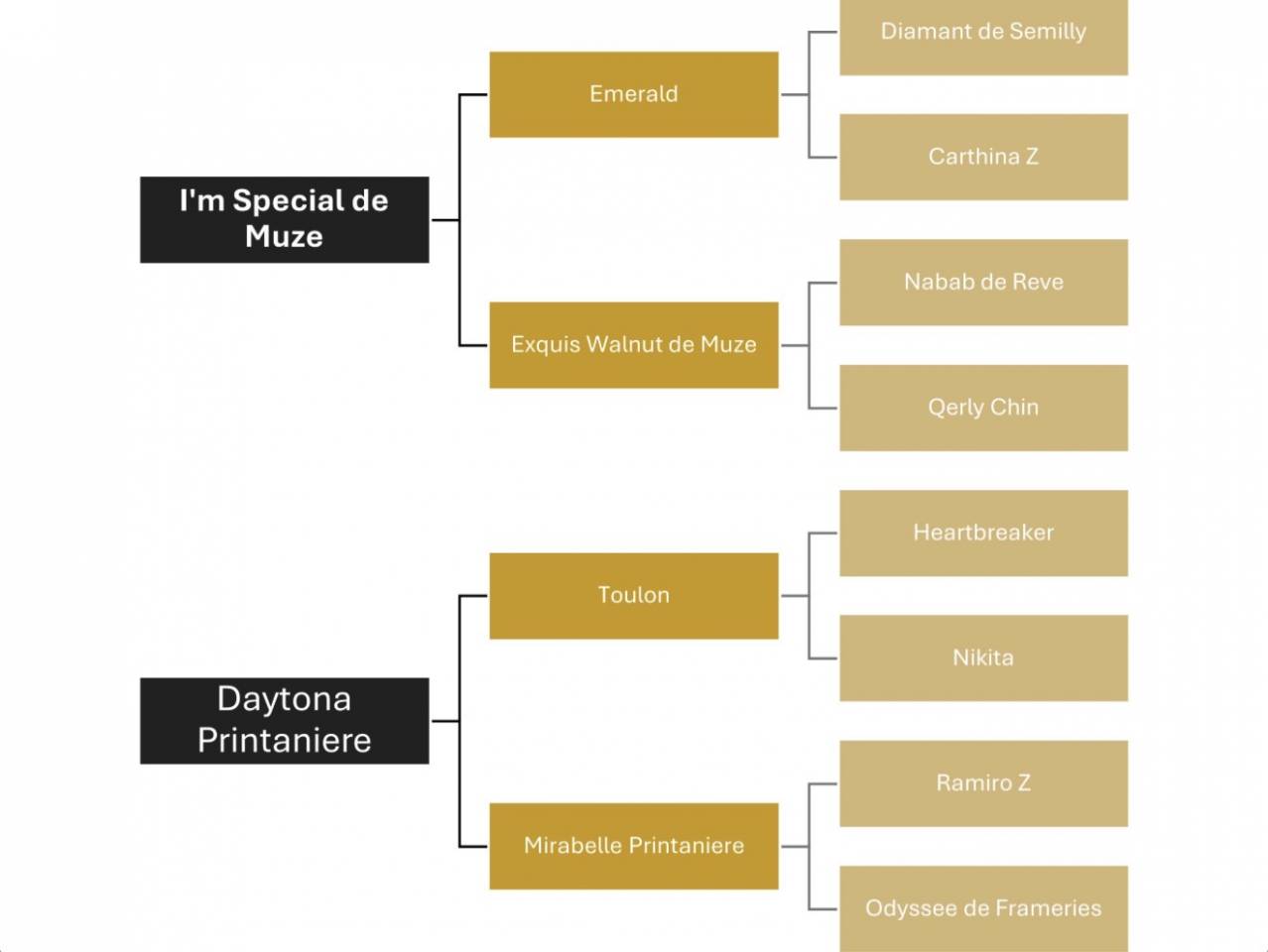 Filly (2025) I'm Special de Muze x Toulon x Ramiro z