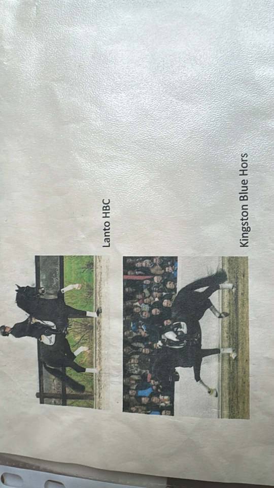 KWPN-2024-Lanto/Silvio HBC-Olympia/Kingston Blue Horse