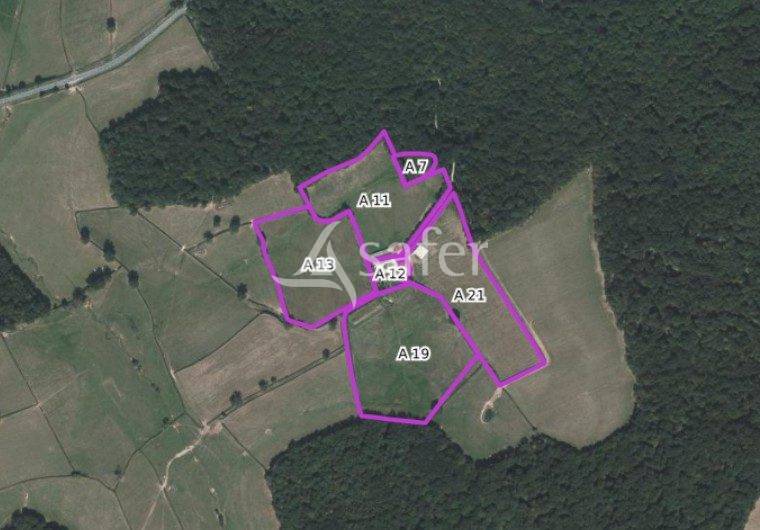 propri&eacute;t&eacute; de charme : ancienne ferme de ch&acirc;teau