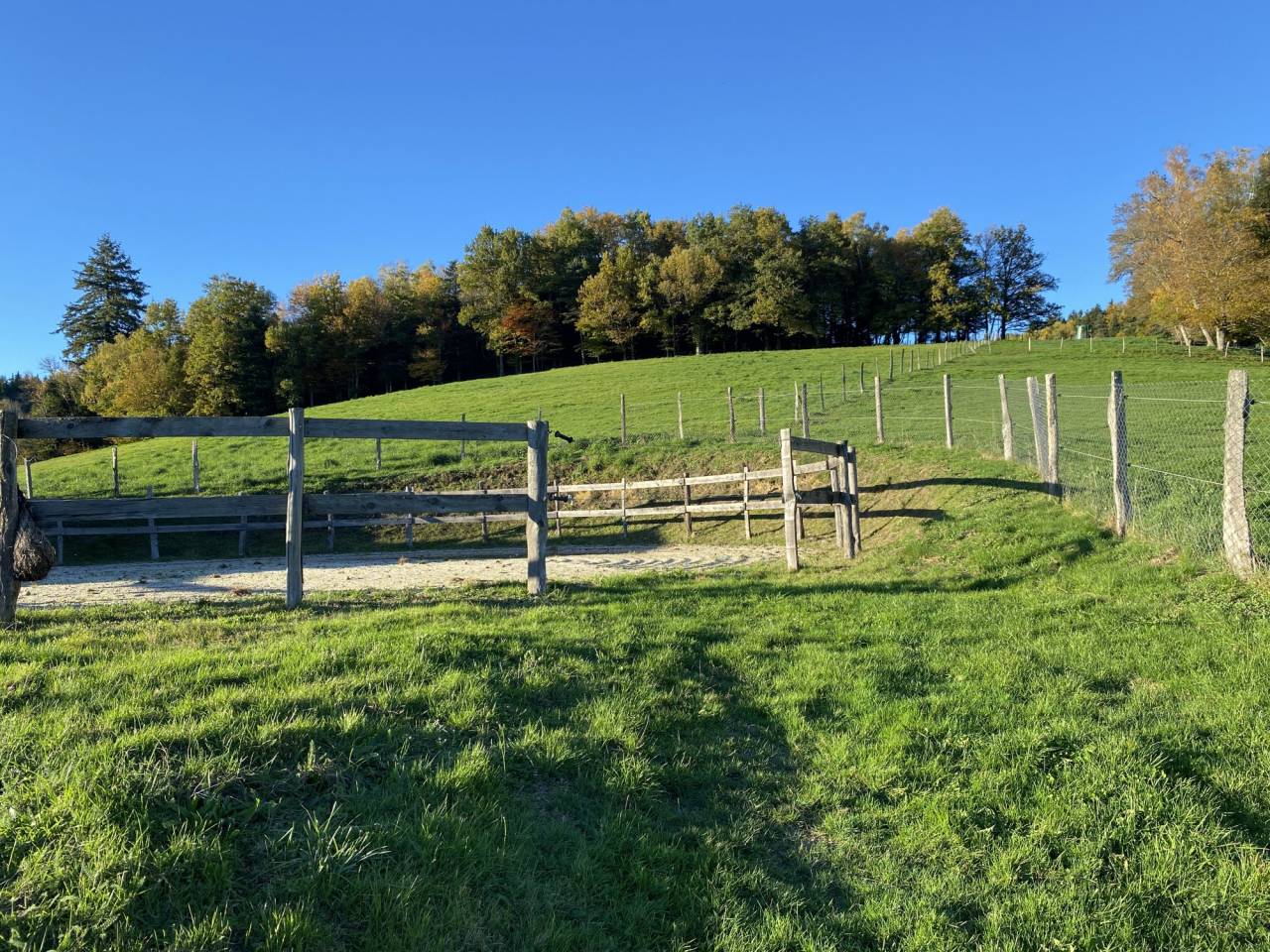 Propri&eacute;t&eacute; au coeur du Parc naturel du Livradois-Forez  27 h