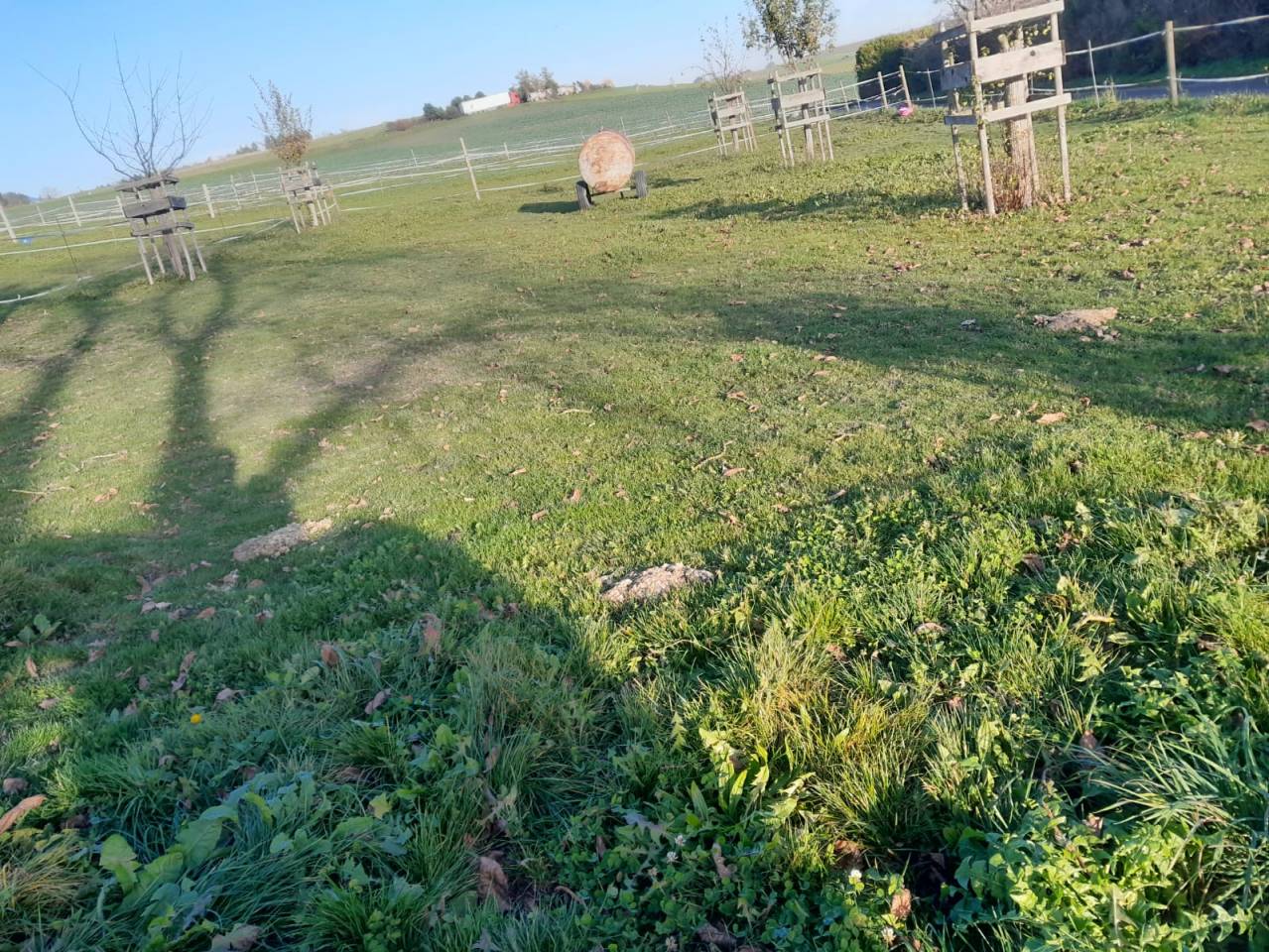 2 boxes en autogestion