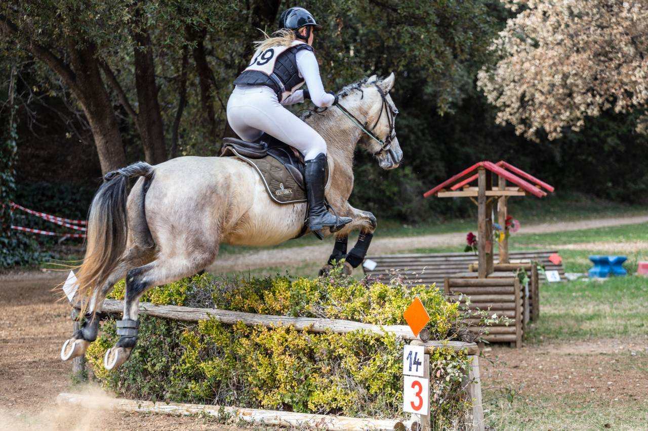 Poney D CSO/ CCE Connemara x Pur sang Arabe