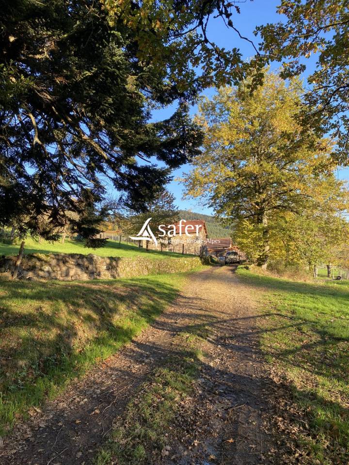 Propri&eacute;t&eacute; en pierre isol&eacute;e avec vastes d&eacute;pendances sur 27 he