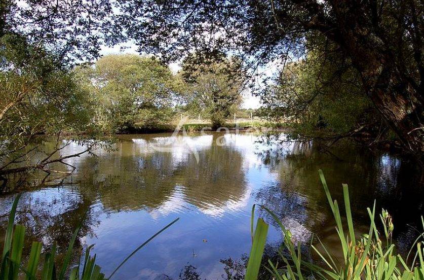 Propri&eacute;t&eacute; &eacute;questre sur 10 ha