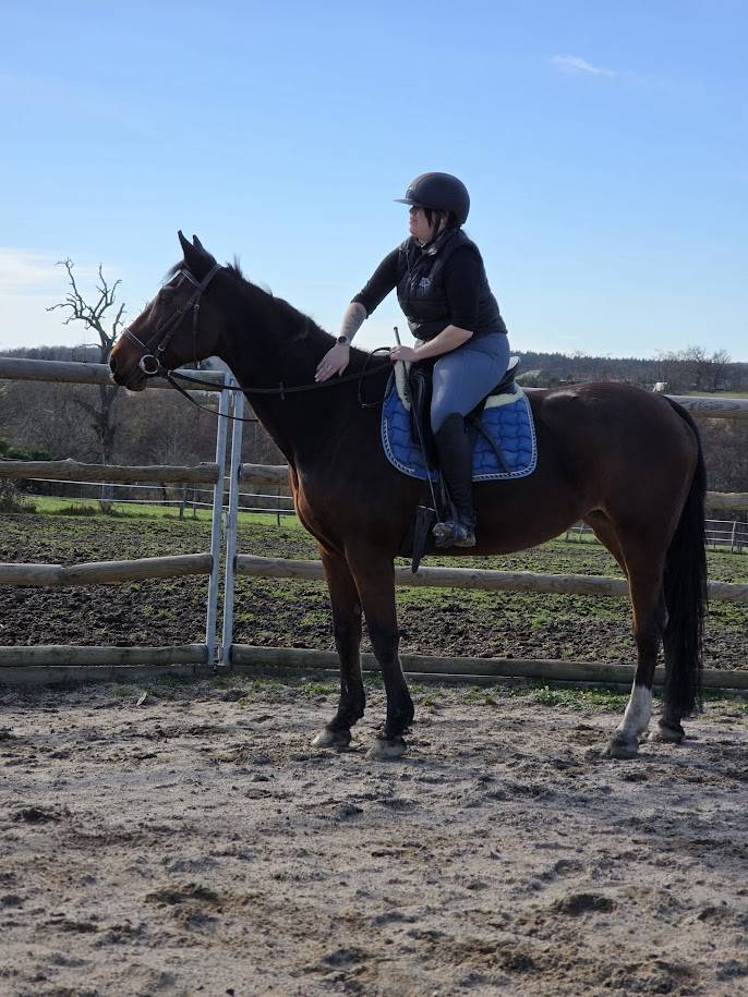 Jument maitre d'&eacute;cole loisirs