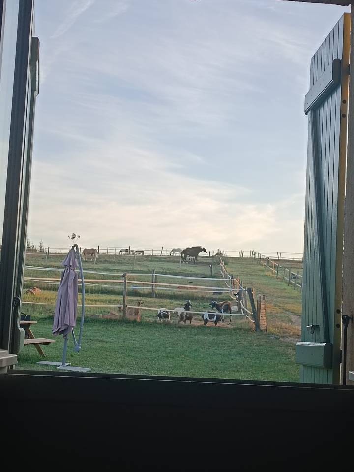 VENTE FONDS DE COMMERCE 