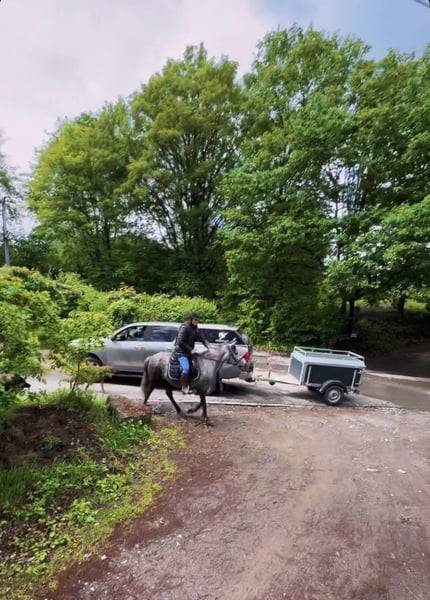 Ponette D 7 ans polyvalente