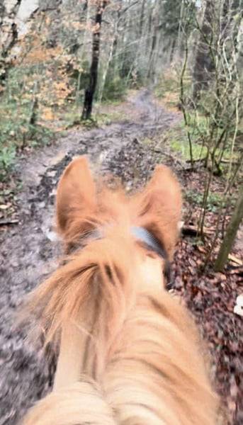 Ponette D 7 ans polyvalente