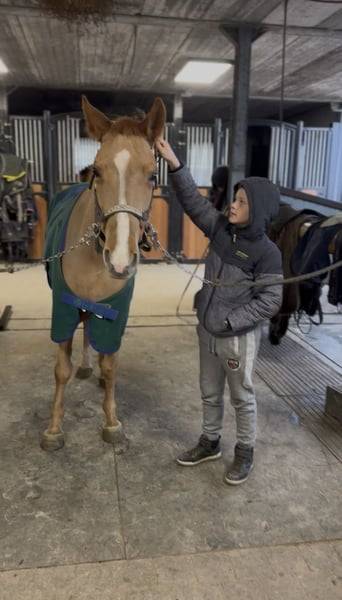 Ponette D 7 ans polyvalente