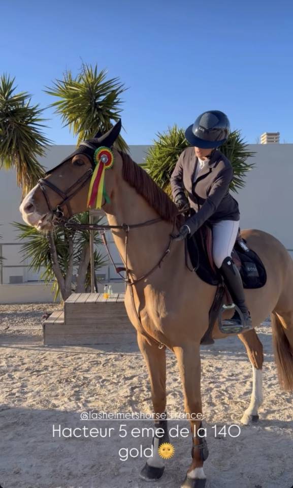 A vendre hongre de 9 ans 