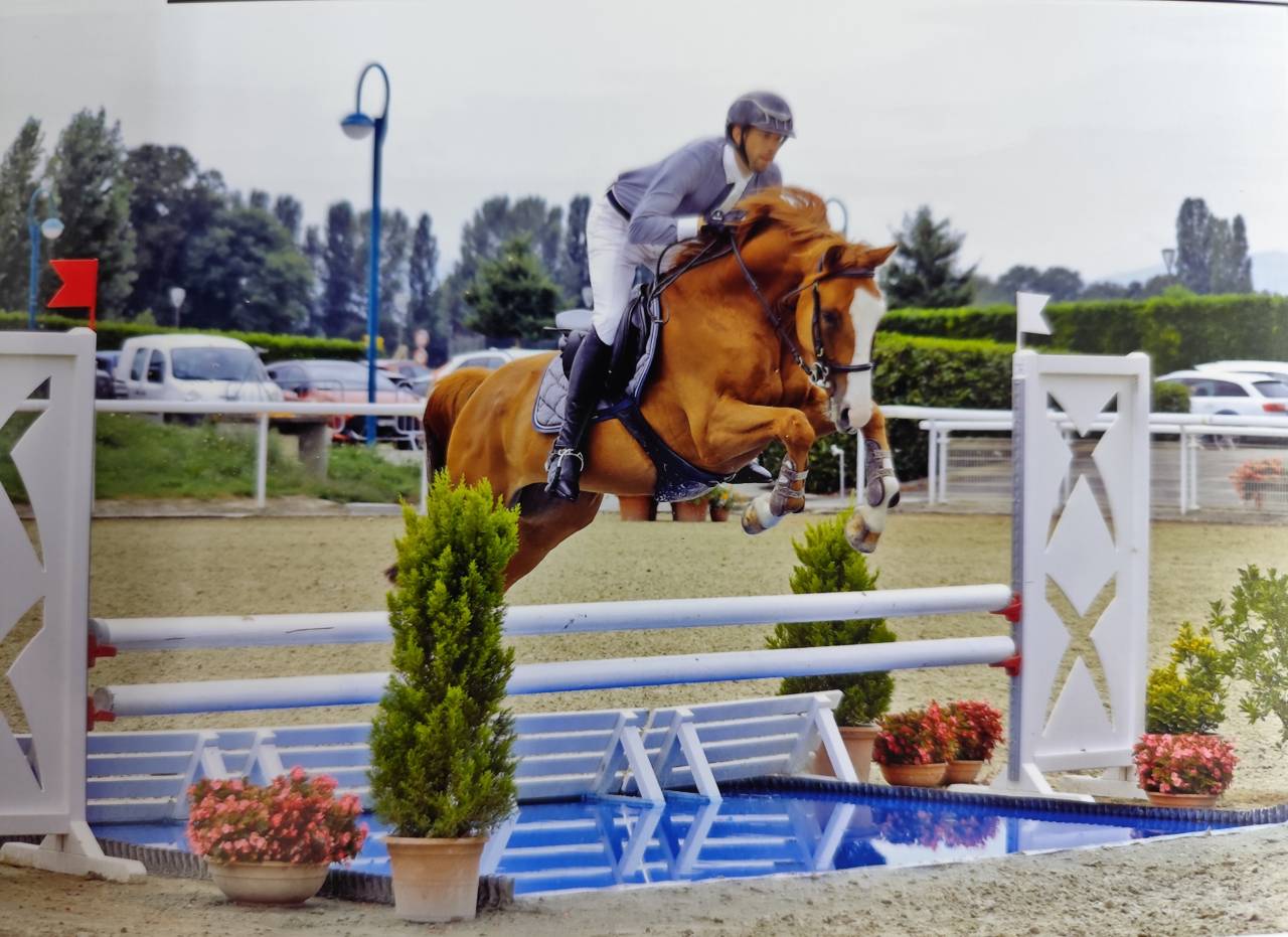 Super hongre 8 ans 1m62 id&eacute;al amateur 