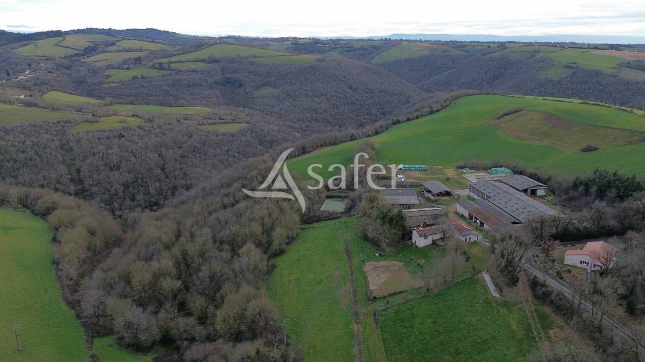 Exploitation agricole id&eacute;al &eacute;levage 102 ha