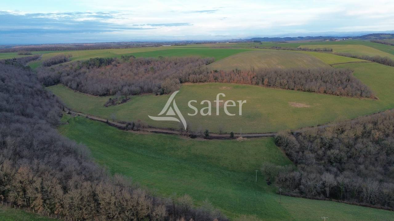 Exploitation agricole id&eacute;al &eacute;levage 102 ha