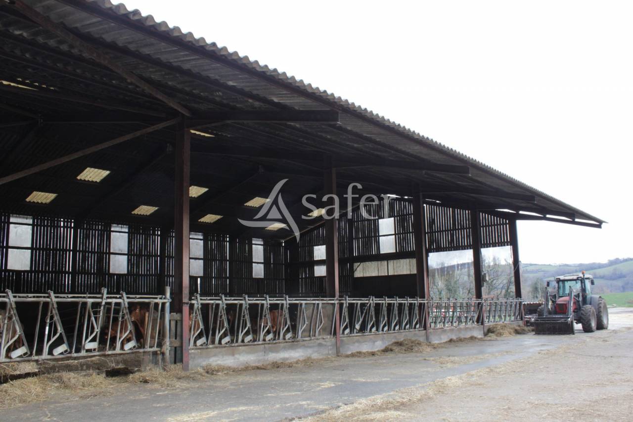 Exploitation agricole id&eacute;al &eacute;levage 102 ha