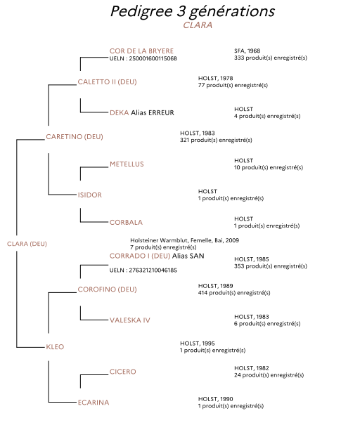 Poulini&egrave;re par CARETINO