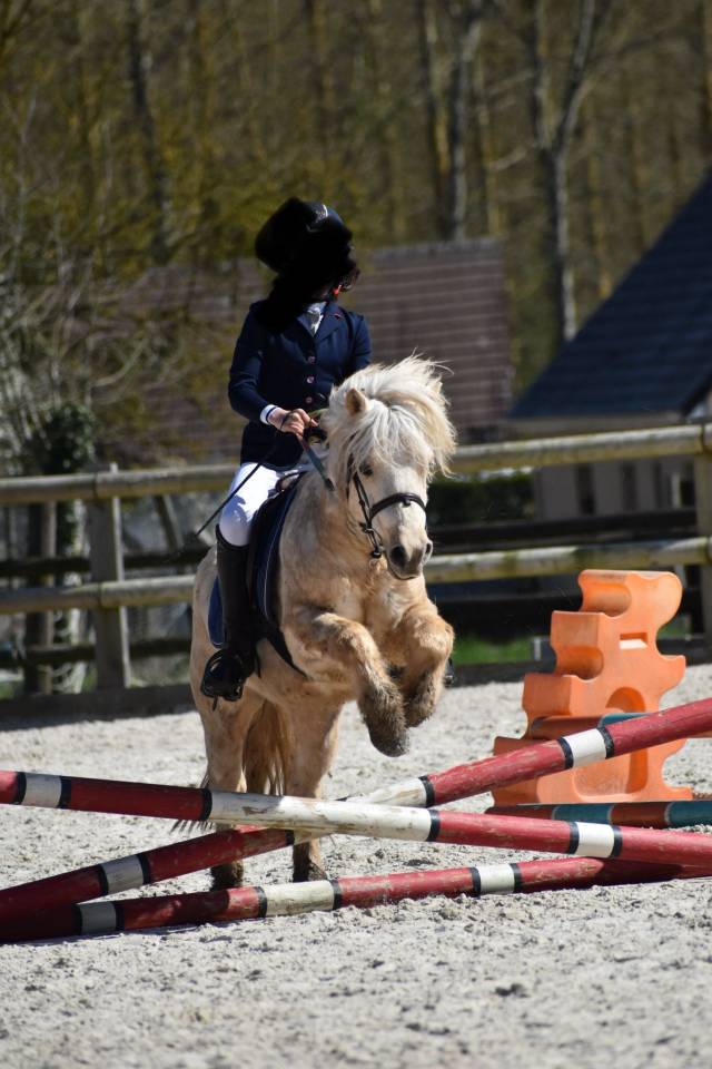 Poney id&eacute;al enseignement et competition