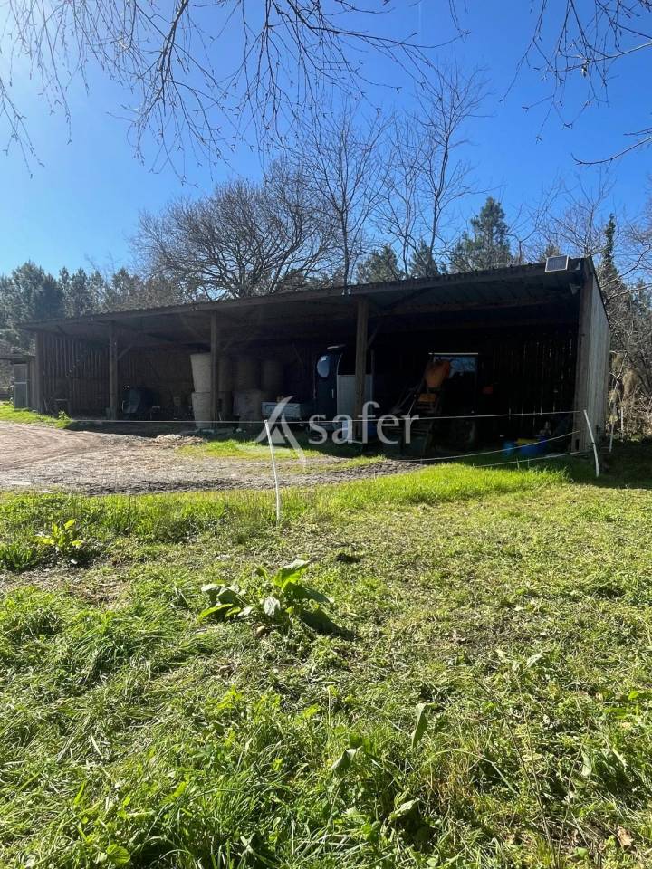 Projet EQUIN: maison r&eacute;cente + infrastructures sur 2 hectares