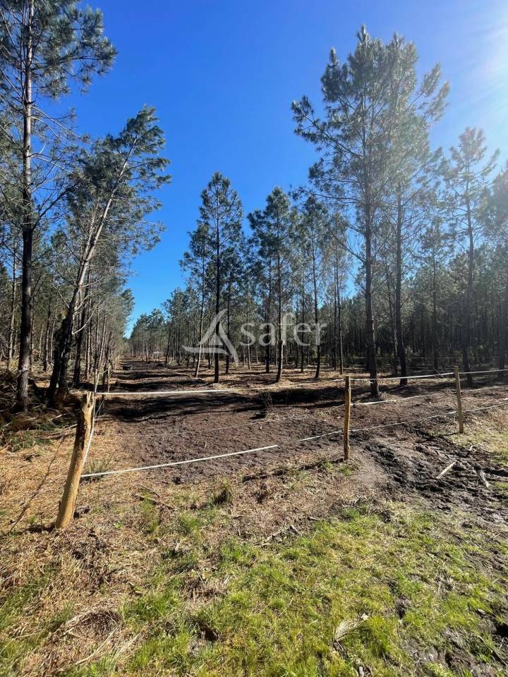 Projet EQUIN: maison r&eacute;cente + infrastructures sur 2 hectares