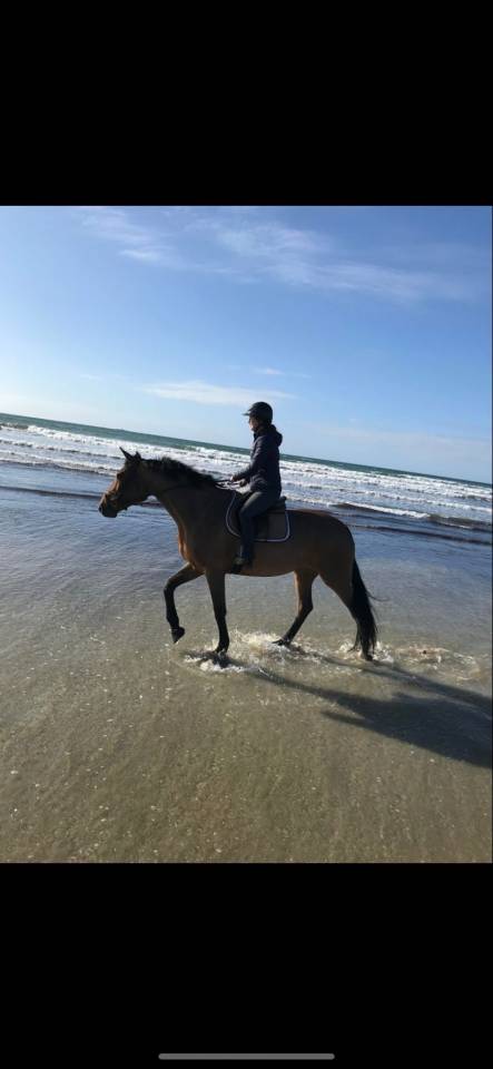 Jument amateur 1 CSO 