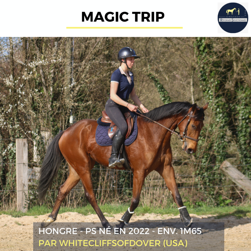 MAGIC TRIP - PS - 4 ANS