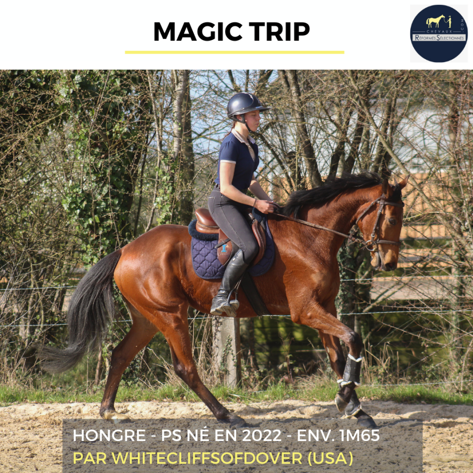 MAGIC TRIP - PS - 4 ANS
