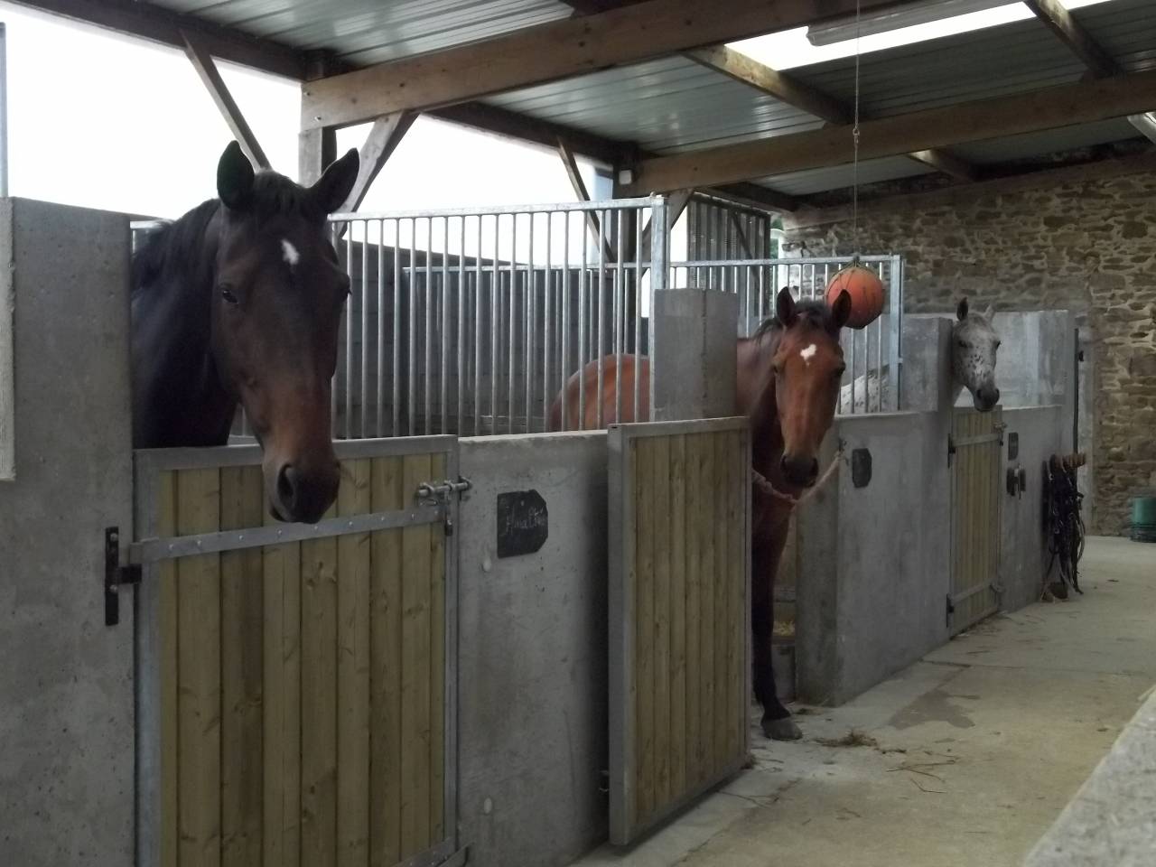 Exploitation Equestre &ndash; 50ha avec man&egrave;ge 