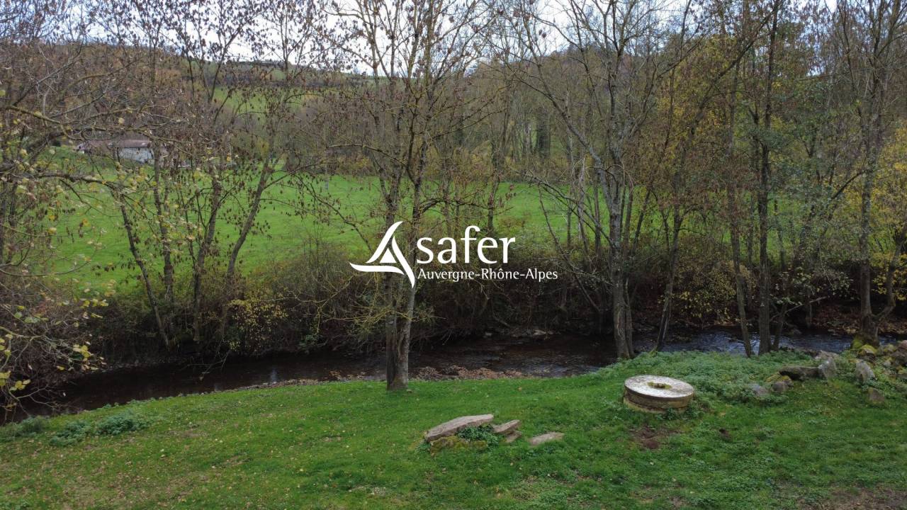 PROPRIETE BATIE SECTEUR NATUREL - ST SYMPHORIEN SUR COISE