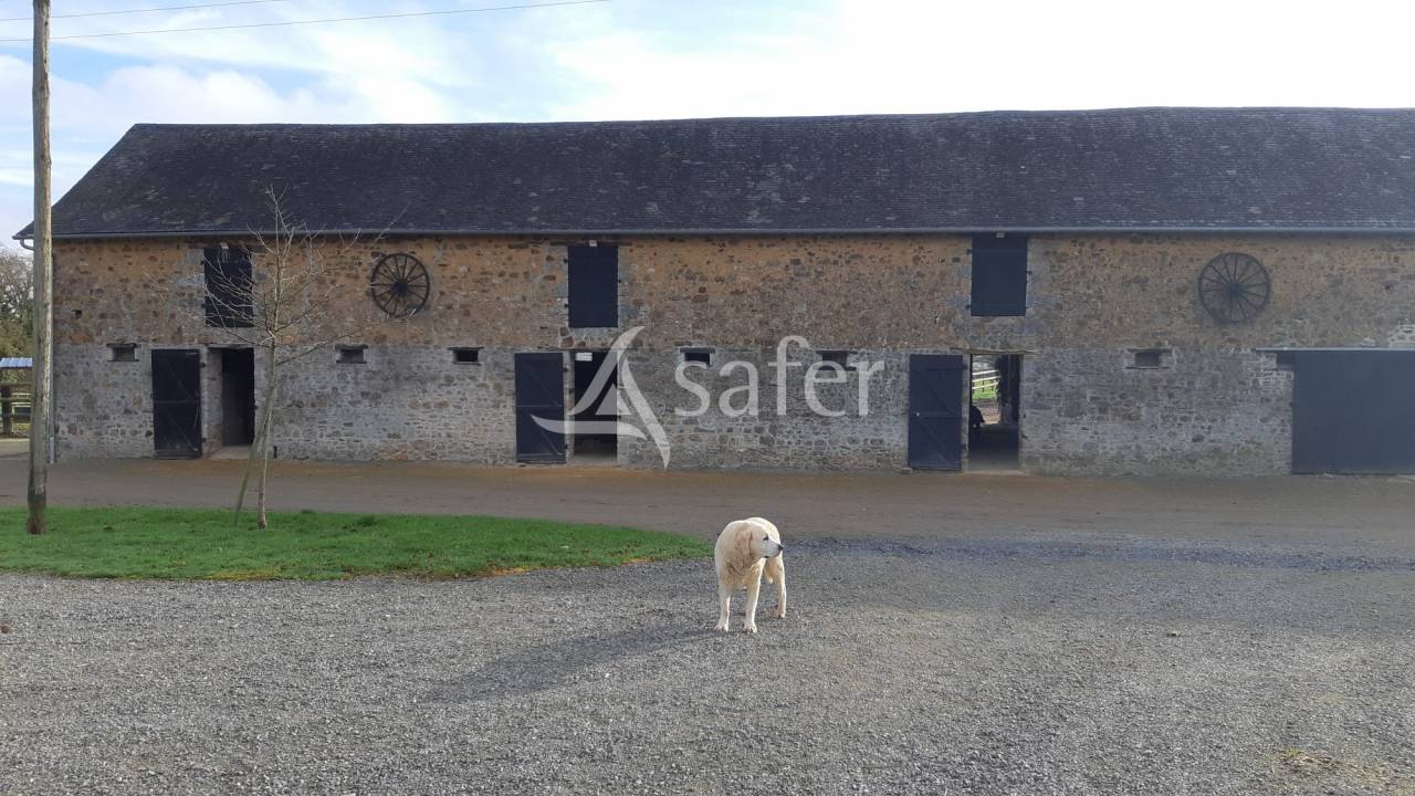 PAYS DE LA LOIRE - Mayenne Haras 23Ha