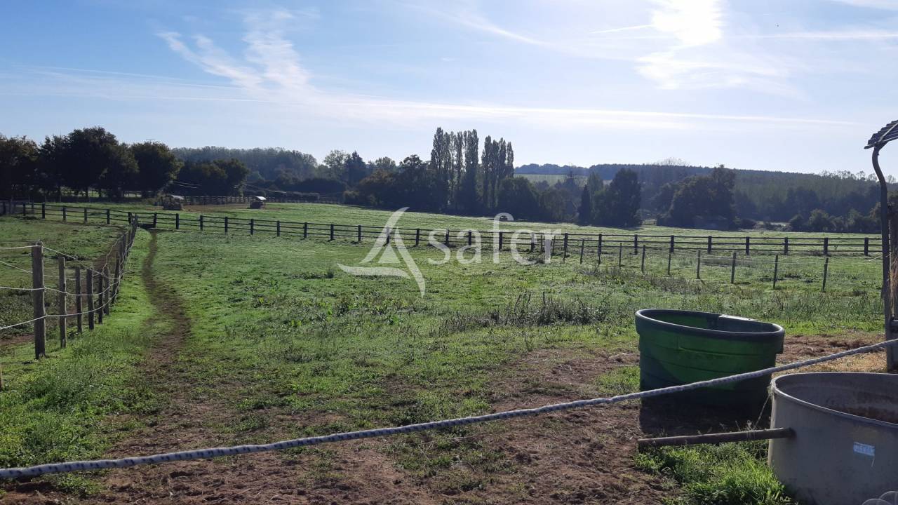 PAYS DE LA LOIRE - Mayenne Propri&eacute;t&eacute; &eacute;questre