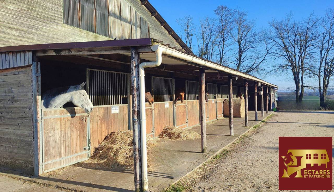 Structure &eacute;questre 21 hectares