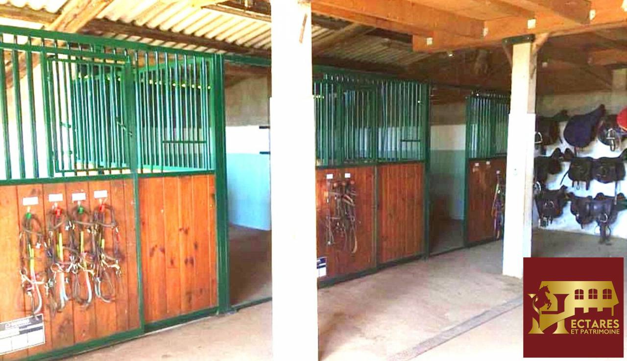 Structure &eacute;questre 21 hectares