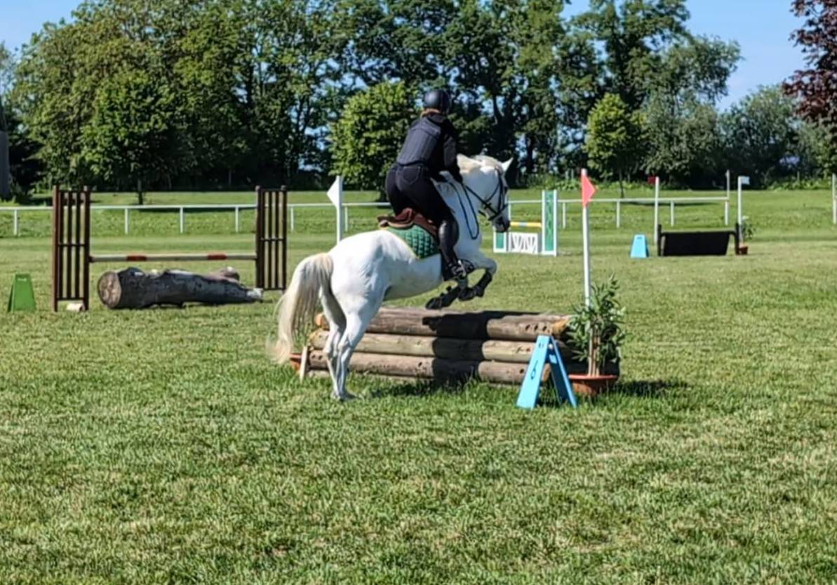 Cavali&egrave;re, groom, assistance administrative