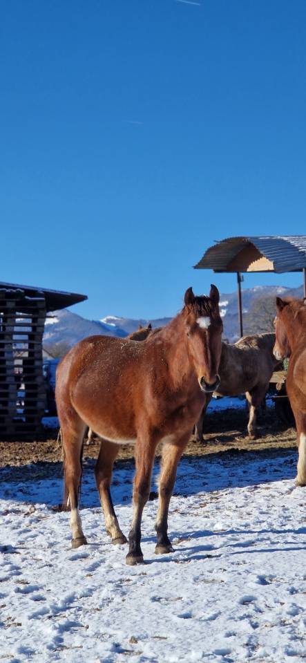 C&oelig;ur &agrave; prendre