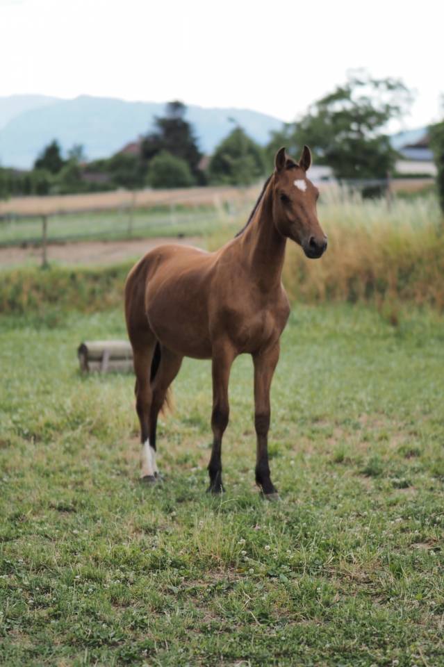C&oelig;ur &agrave; prendre
