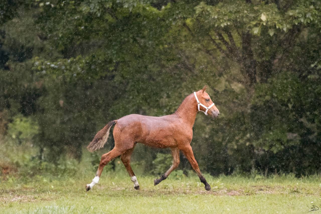 C&oelig;ur &agrave; prendre