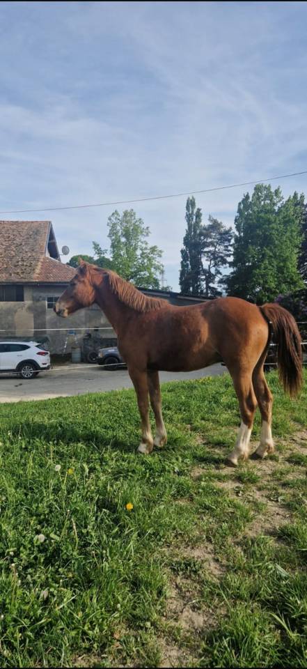 C&oelig;ur &agrave; prendre