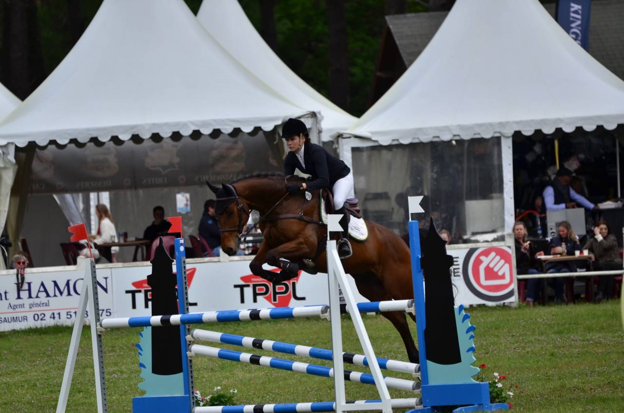 Hongre SF 10 ans CCE/CSO