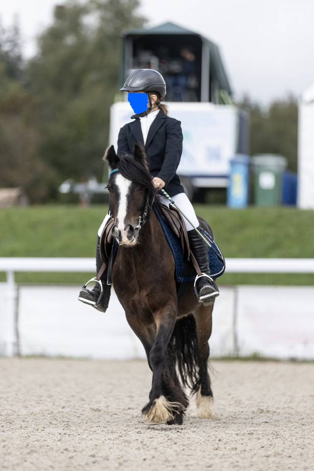 &Agrave; vendre super poney pour enfant 116-128cm
