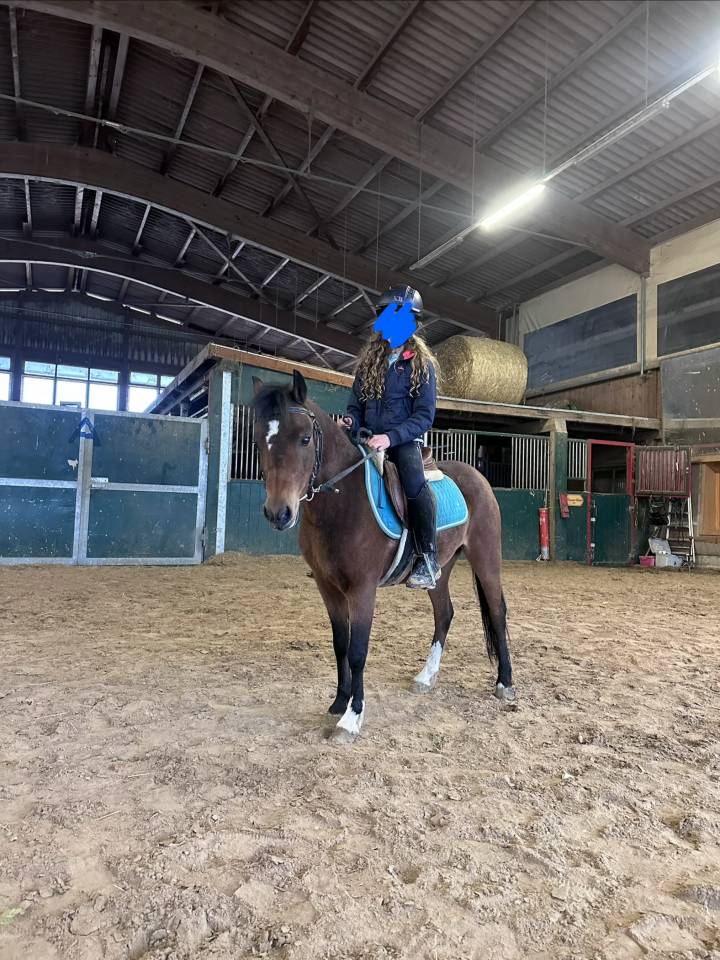 &Agrave; vendre super poney pour enfant 116-128cm