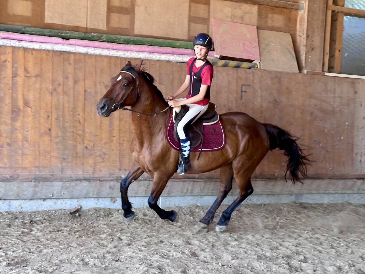 &Agrave; vendre ou &agrave; confier pour un an 