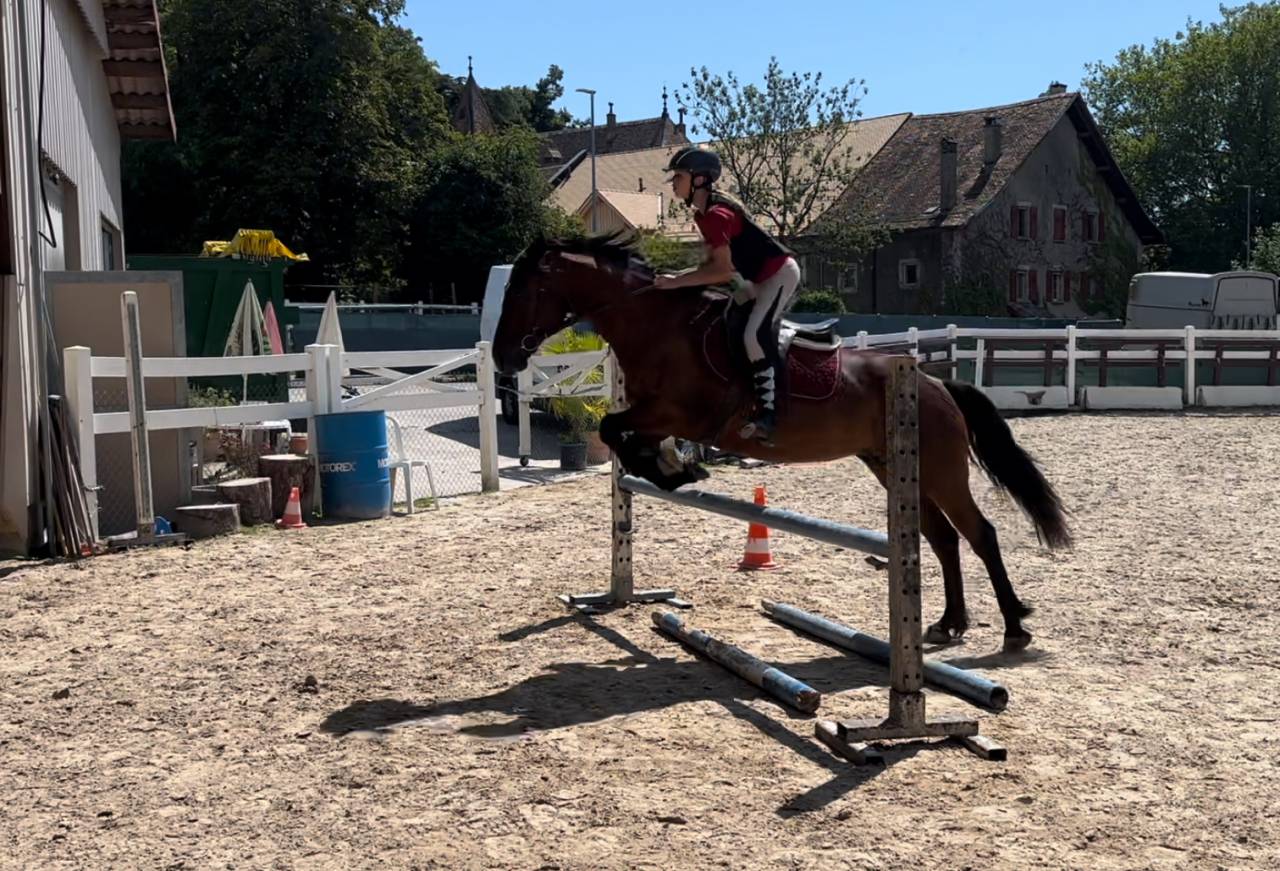 &Agrave; vendre ou &agrave; confier pour un an 