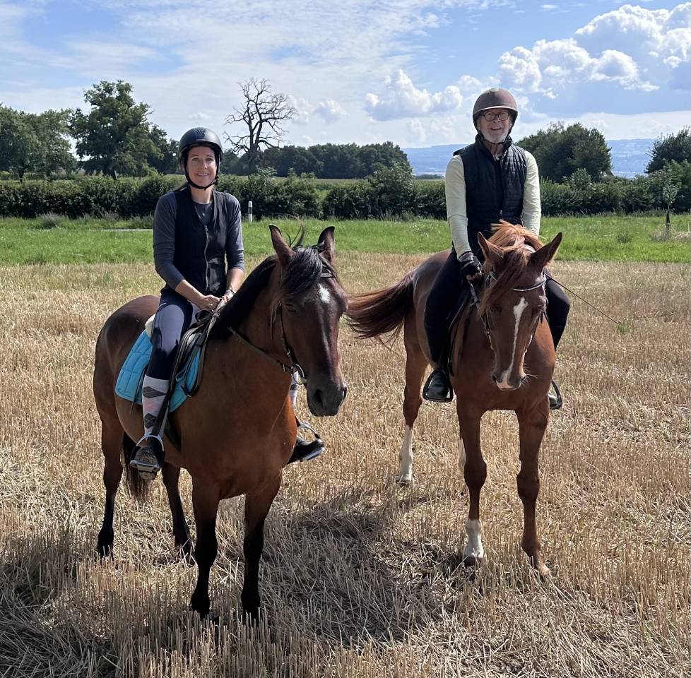 &Agrave; vendre ou &agrave; confier pour un an 