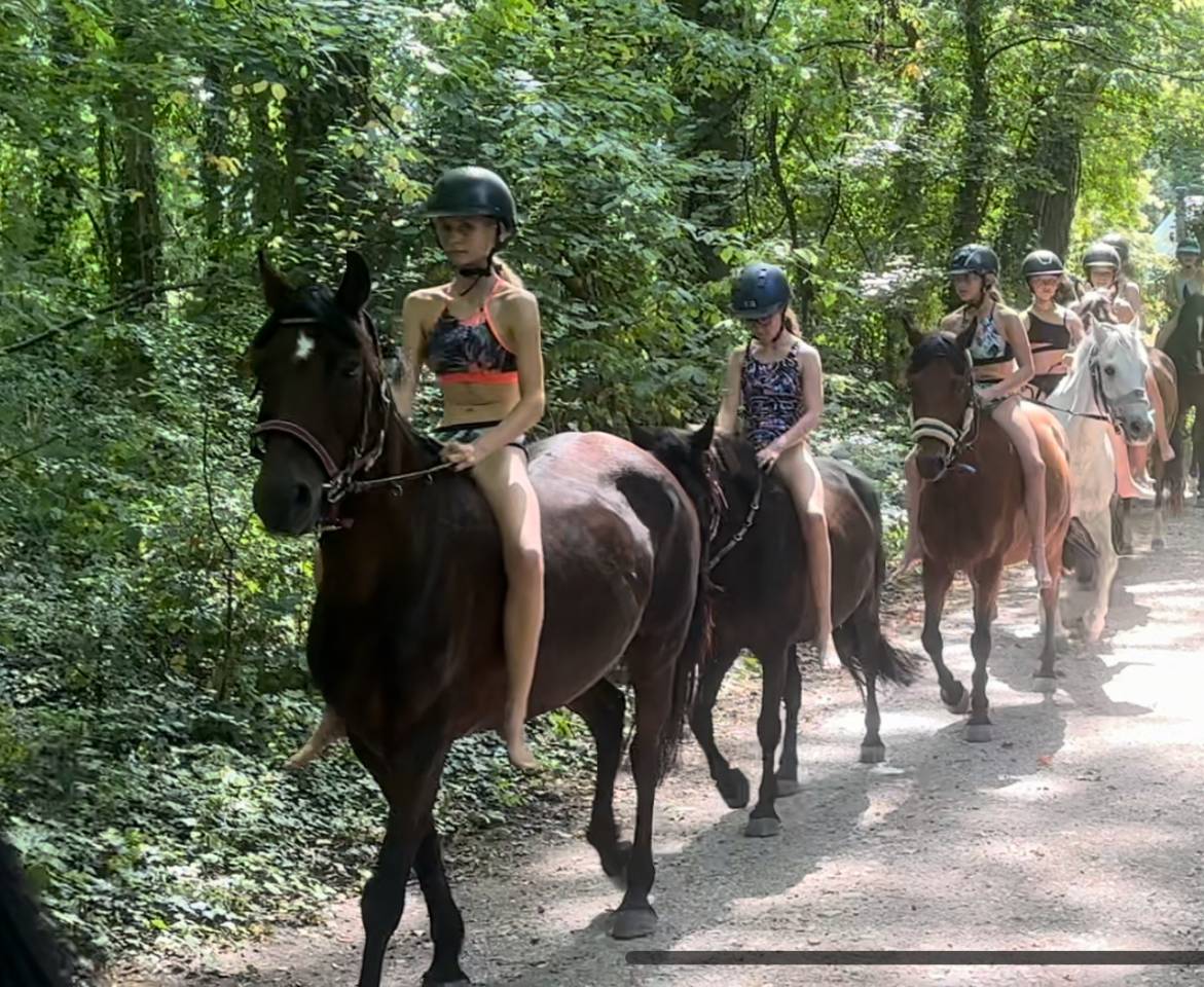 &Agrave; vendre ou &agrave; confier pour un an 