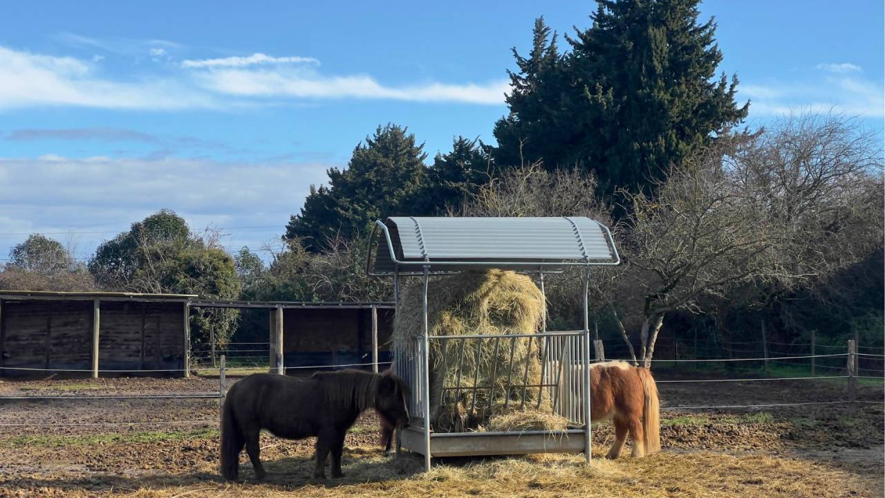 Propri&eacute;t&eacute; &eacute;questre d&rsquo;exception au coeur du Gard (30)